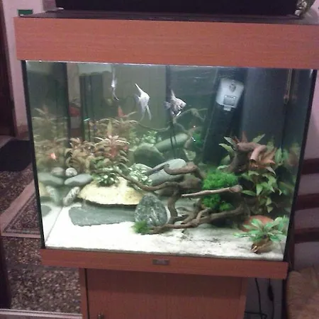 Hotel Massena Genova